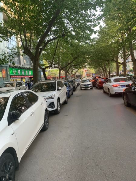 大白楊南路至大興東路路口 緩堵保暢交通設(shè)施的缺失與建議